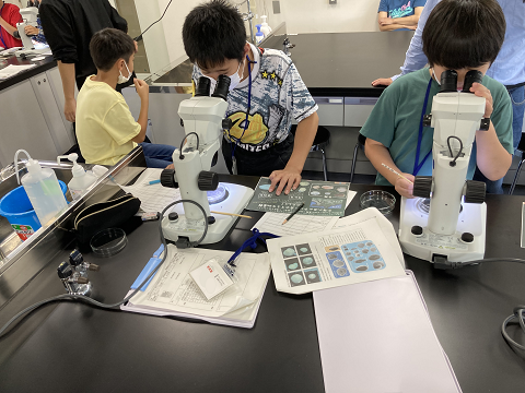 湖底堆積物から中海の様子を探ろう